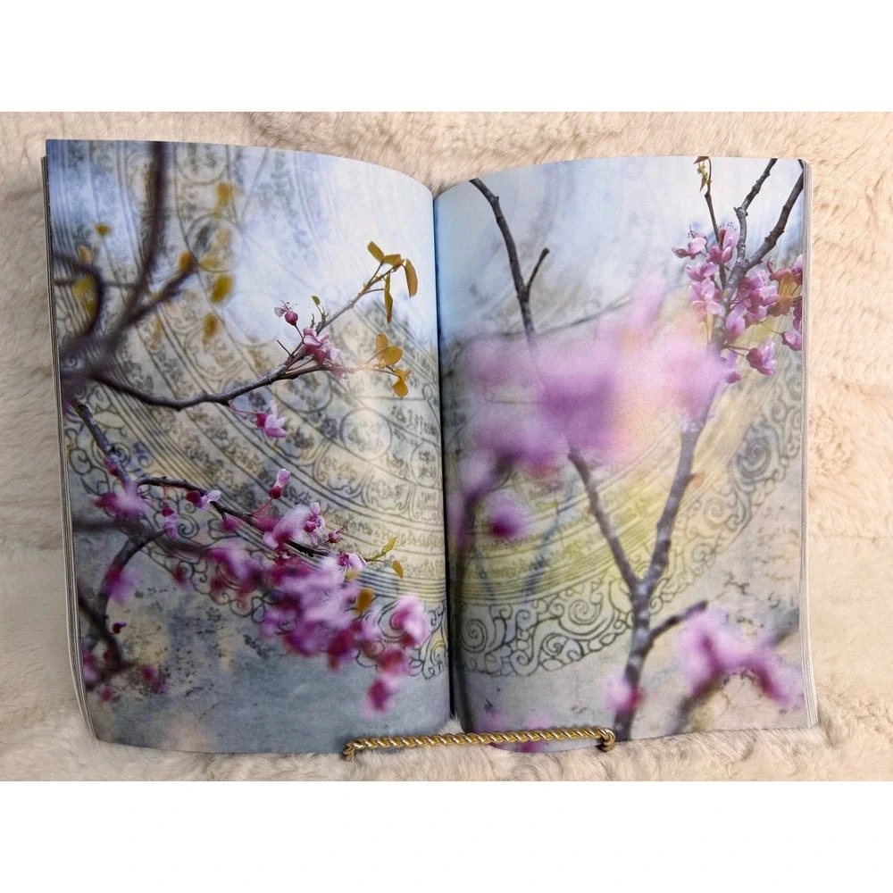 UNCORRECTED PROFF Foraged Flora Louesa Roebuck Sarah Lonsdale Advance Book RARE